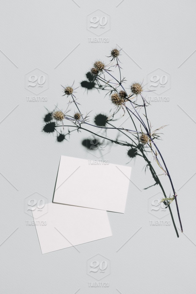 36+ Download Floral Mockup&nbsp;PSD